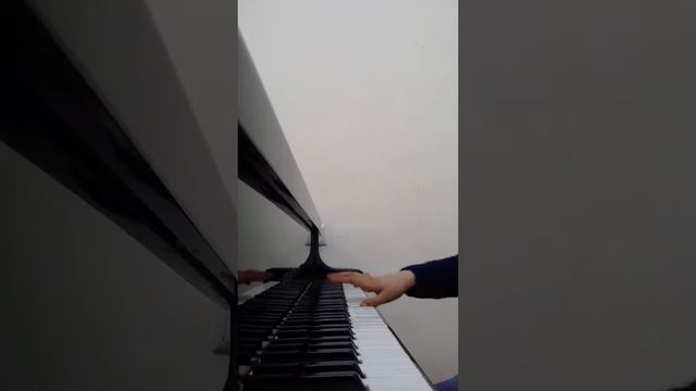 Королёк птичка пианино смотреть онлайн