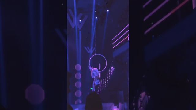 Stings Desert Rose interpretation aerial hoop Katya Stern смотреть онлайн