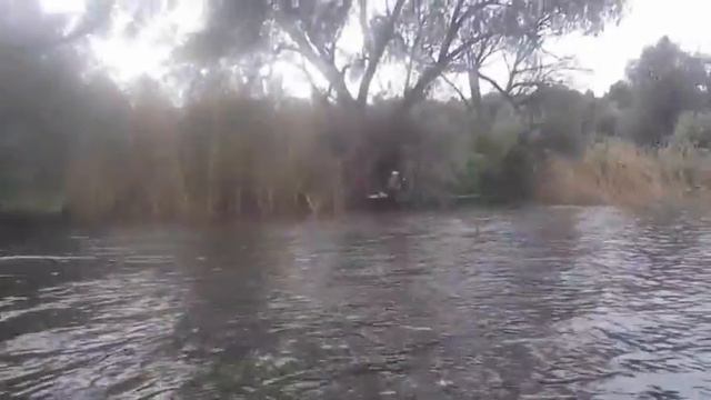 Попытка ловли карпа 16.08.16 смотреть онлайн