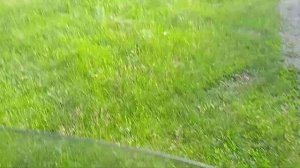 Гбо на новом ВАЗ 11182 Гранта фл. и жрёт ли масло новый ДВС на обкатке???