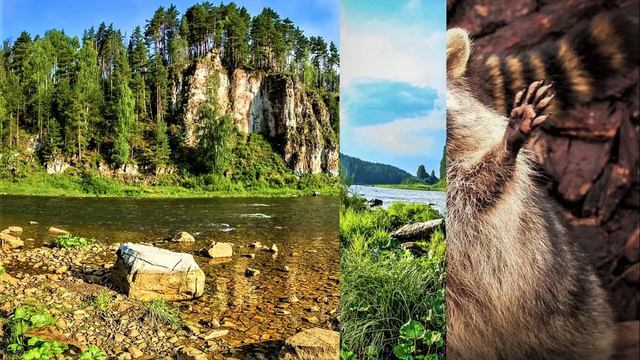 ✔ *АрхиСРОЧНО* «Сенсационное откровение Высших Сил !» смотреть онлайн