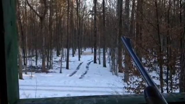 Белоруссия. Национальный парк ПРИПЯТСКИЙ смотреть онлайн