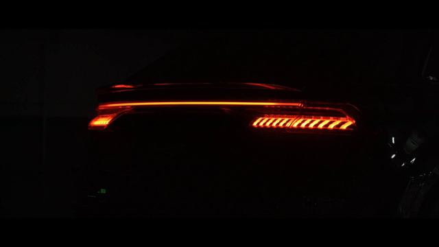 MANSORY Audi  RSQ8 Duo In China