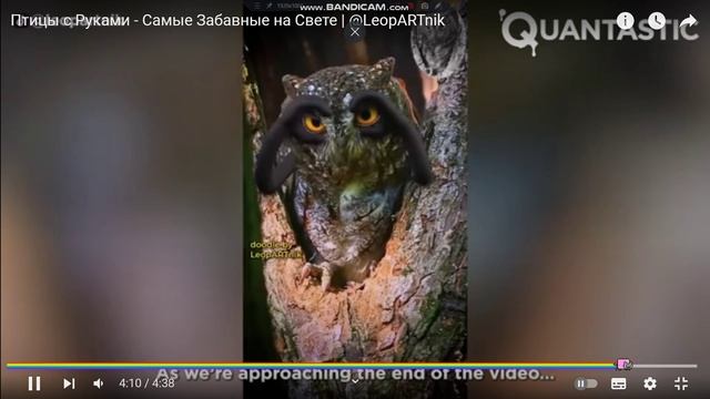 птицы с руками. смотреть онлайн