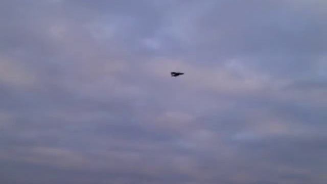 RC-Aviation.ru Облет авиамодели Птиц смотреть онлайн