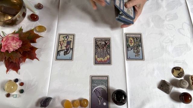 Leo April 2023 Tarot Snapshot - Carefree & Happy @cosmic_nectar_tarot смотреть онлайн