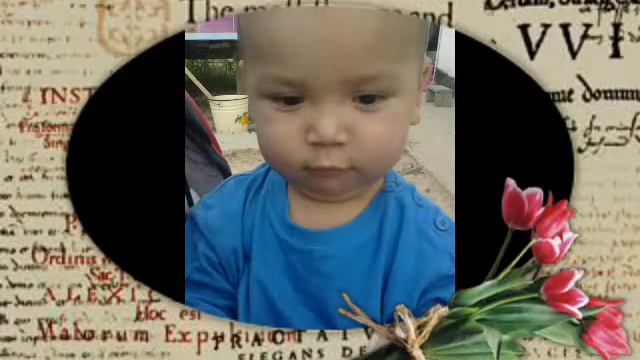 Жаным балапаным смотреть онлайн