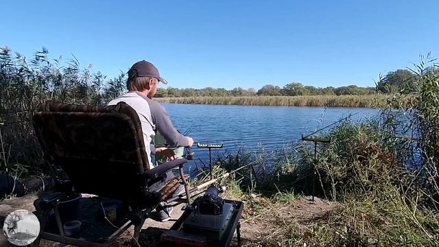 Фидерная рыбалка на озере в лесу. Ловля на фидер.