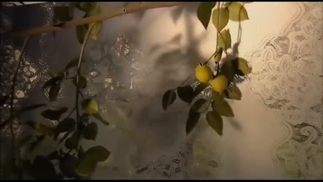 Пространство любви (узбекфильм на русском языке) #UydaQoling