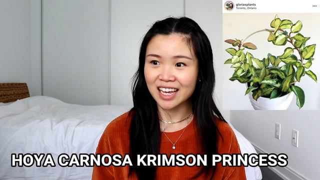 5 Houseplants I Regret Killing | Sad Plant Deaths смотреть онлайн
