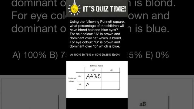 Punnet square problem and solution смотреть онлайн