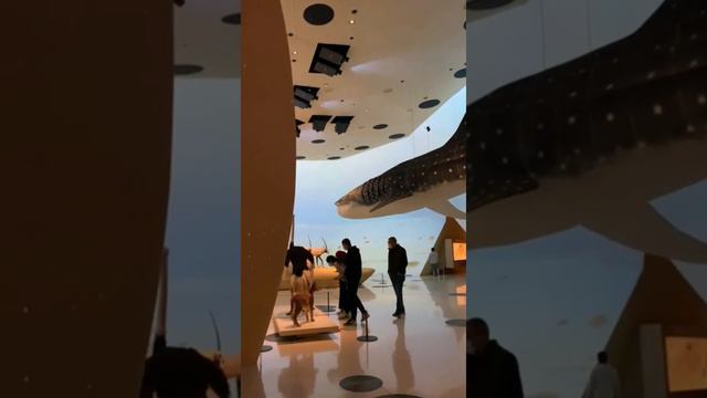 КАТАР. ДОХА. Путешествия смотреть онлайн