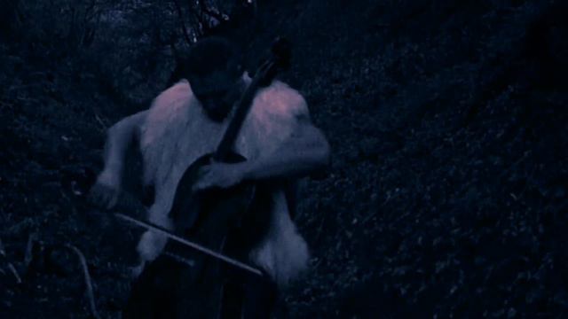 Saga - Sebastian Villmark (Viking Cello) [the "Carpathian Viking"] - Original Cello Music смотреть онлайн