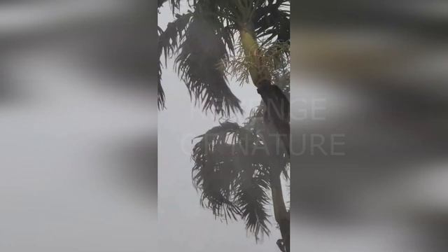 Epic Miami Storm, USA: Brace Yourself for Unforgettable Scenes смотреть онлайн