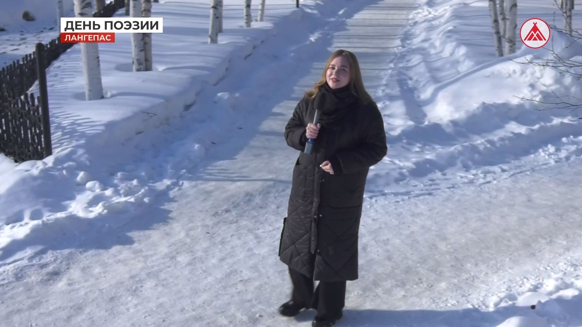 День поэзии. Рука к перу, перо к бумаге…