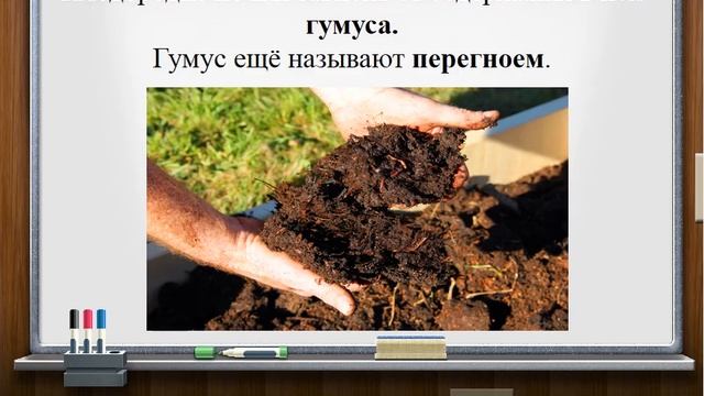 3 класс 3 четверть Естествознание урок 4 Свойства почвы смотреть онлайн