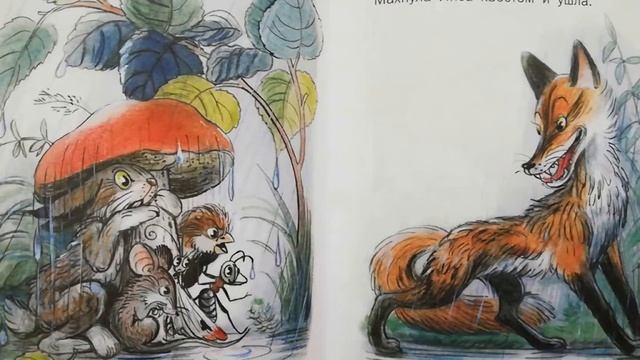 /// Под грибом - (сказка-загадка) Владимир Сутеев/// смотреть онлайн