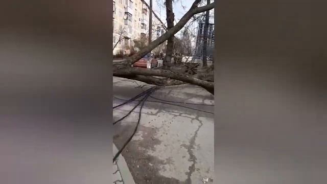 Был очень сильный ветер в Пироговской в 13 марта в 2020году!!!!😱 смотреть онлайн