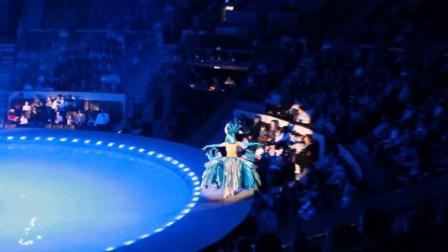 Цирк на воде Самара 5 января 2014г смотреть онлайн