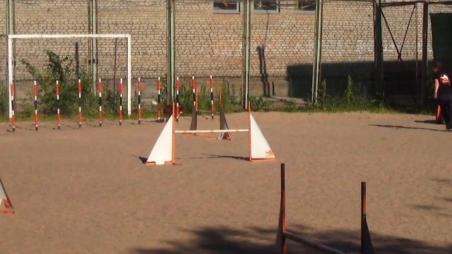 Джампинг+Гора Сорокина Анастасия Бордер Колли INFINITY ENERGY смотреть онлайн