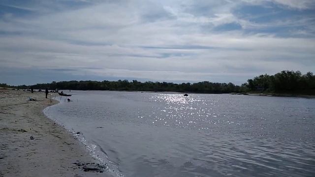 Станица раздорская река дон ловля донской селедки 2021г. смотреть онлайн