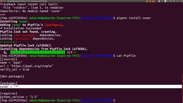Como instalar pacotes com pipenv смотреть онлайн