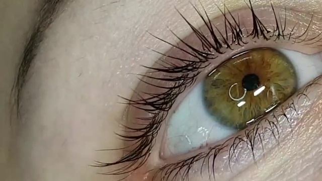 Ламинирование ресниц Киев #mariaswankiev  Татуаж отзыв киев