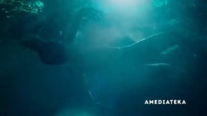 Миссис Флетчер