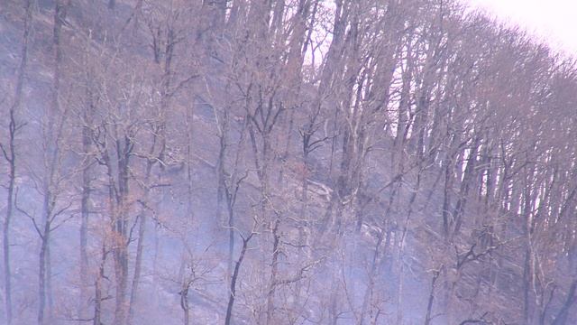 Лесной пожар в Лазаревском районе локализован. смотреть онлайн
