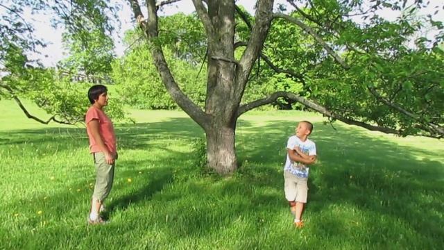 Начало лета 2014 года. Кучамала с телефонной видеокамеры. смотреть онлайн