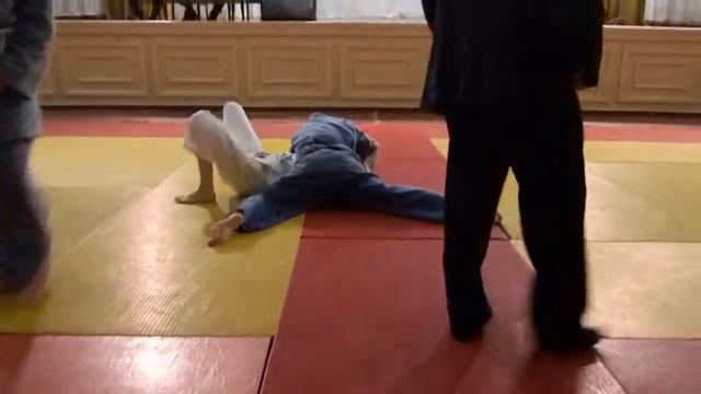 Репина Дарья 1 место Чемпионат по ДЗЮДО г Макеевка 5 12 2015 смотреть онлайн