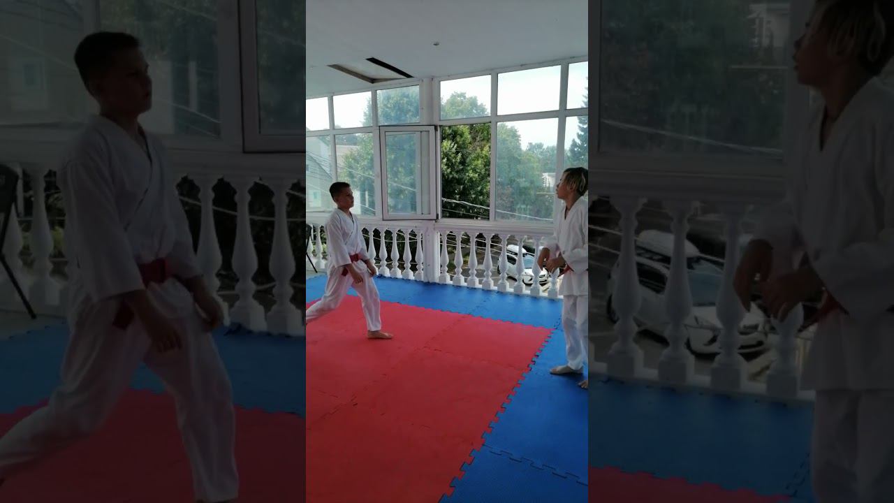 Тренировка по айкидо в Сочи: шомэн учи - ирими наге, 16.07.2024  #shorts