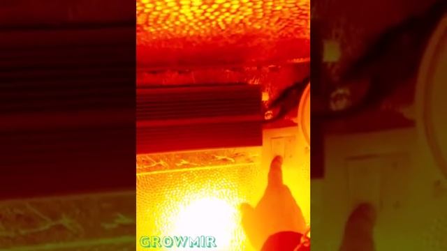 Гроубокс, Гроубокс своими руками 150х80х60 смотреть онлайн