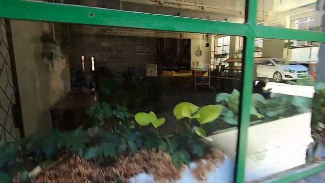 Улица Guildford Lane смотреть онлайн