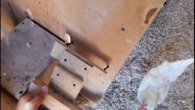 Курятник. Хитрости в строительстве и обустройстве птичника своими руками смотреть онлайн