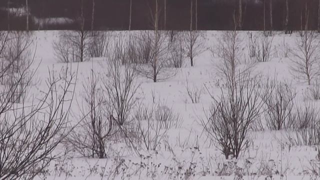 Костромская область. Природа. Зима. смотреть онлайн