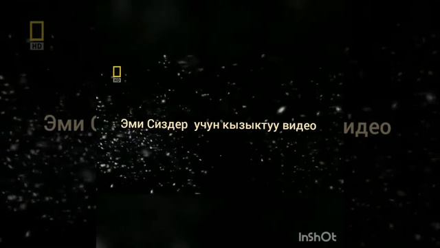 14 мая 2020 г. смотреть онлайн