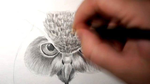 Как нарисовать сову карандашом. Kazyava Art смотреть онлайн