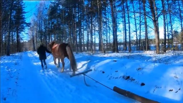 ЛЕСНОЙ ХУТОР КАТЕРИНА ПОРАДОВАЛА КРАСИВЫМИ ВИДЕО смотреть онлайн