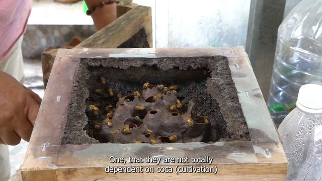 Jani Silva - Teaser ENG смотреть онлайн