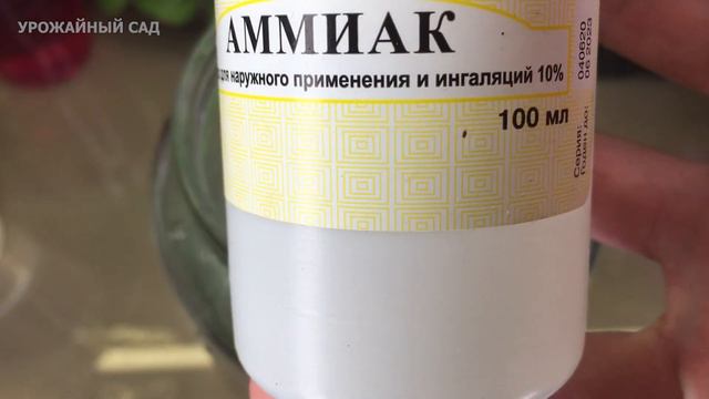 Капаю Под Все Цветы в Доме в Январе - Прут и Зацветают Как Сумасшедшие! смотреть онлайн