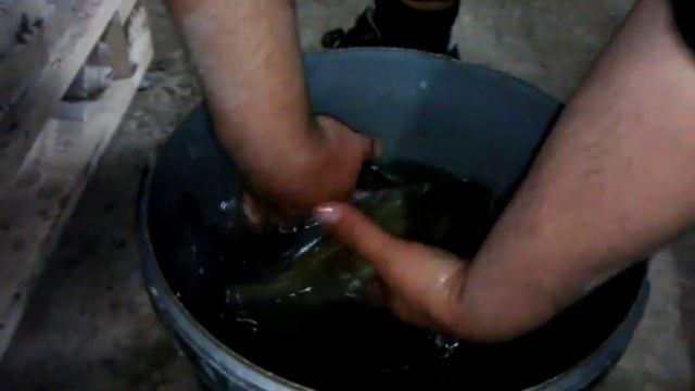 Гупики с аквариума смотреть онлайн