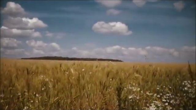 Художник А. Угланов смотреть онлайн
