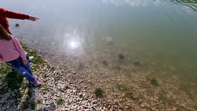 КИПАРИСОВОЕ ОЗЕРО - ВОДЫ БОЛЬШЕ - КИПАРИСЫ ЗЕЛЕНЕЮТ! АПРЕЛЬ 2021 смотреть онлайн