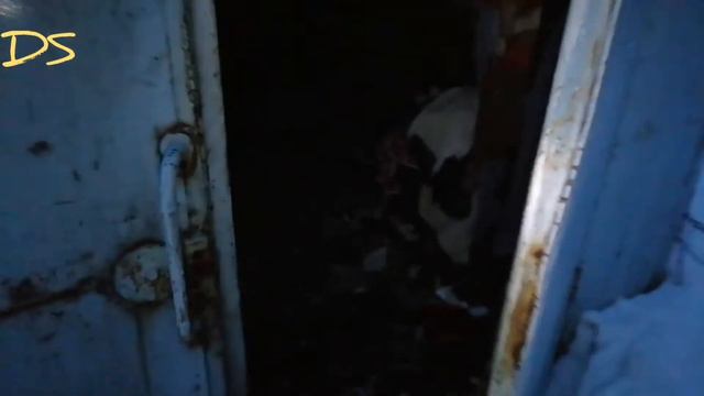 СТАЛК:НАШЛИ ДОМ ОТШЕЛЬНИКА КТО СДЕСЬ МОЖЕТ ЖИТЬ? смотреть онлайн