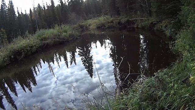 3 дня в ТАЙГЕ. РЫБАЛКА НА ЗАБЫТОЙ РЕЧКЕ. ХАРИУС смотреть онлайн
