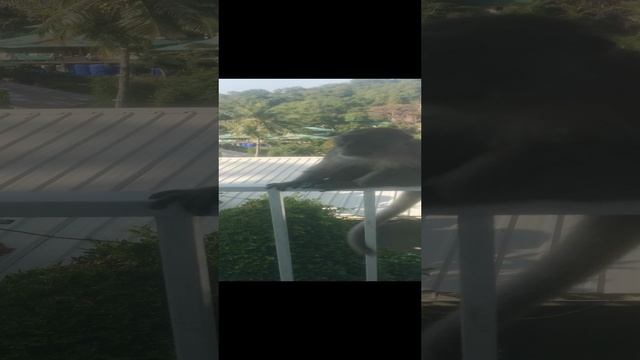 друзья.mp4 смотреть онлайн