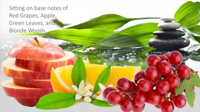 NG Magnolia & Orange Blossom Fragrance Oil- Natures Garden смотреть онлайн