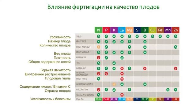 12.09.2019 г. Семинар по направлению - Плодово-ягодные культуры смотреть онлайн