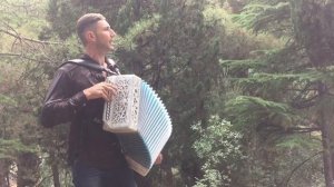 Гармонист Алексей Симонов. Галина. Песня из репертуара гр.Белый день